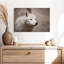 Loup blanc arctique-107887668