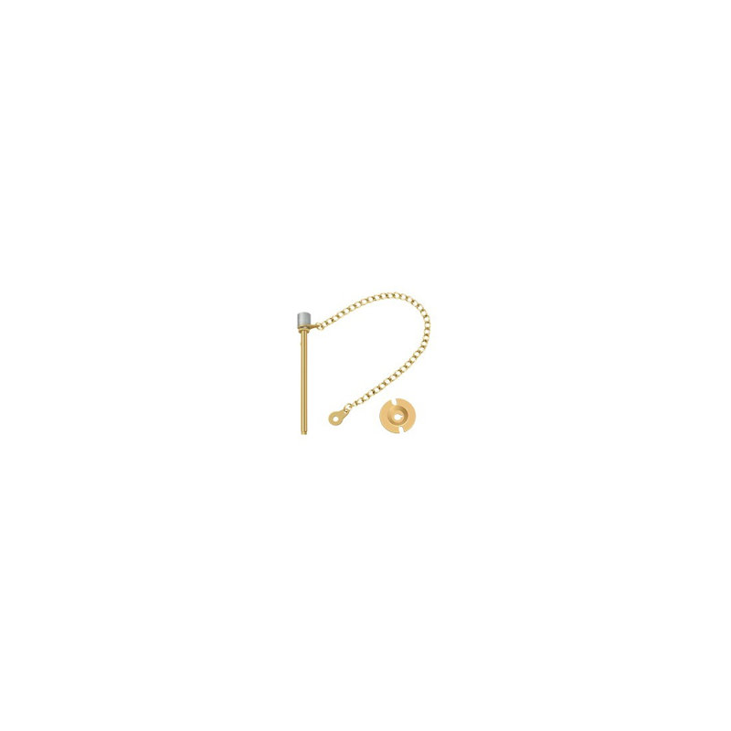 Door Pin, PVD Polished Brass