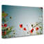 Poppy Flower View - Wrapped Canvas-55322367