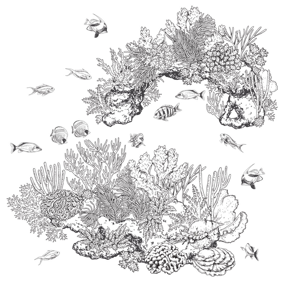 Reef Corals And Fishes - Wrapped Canvas Print