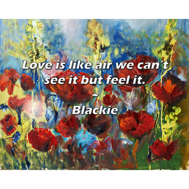 Citation de Blackie: l'amour est comme l'air, on ne peut pas le voir mais le sentir.