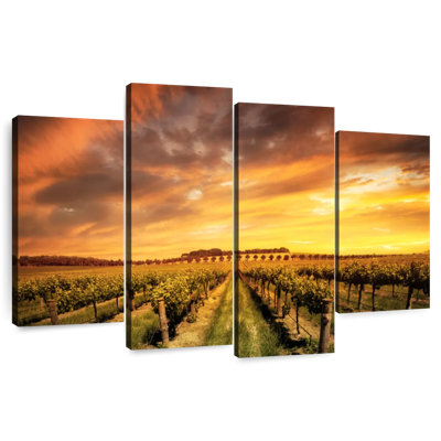 Alvord Barossa Valley Vineyard