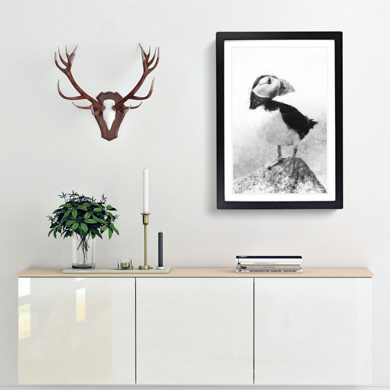 The Atlantic Puffin Bird - Framed Print, 45cm H x 33cm W x 2cm D, Black Framed