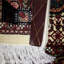 Oriental Area Rug in Beige
