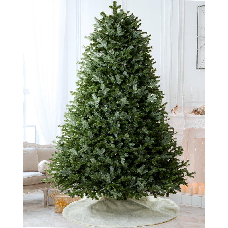 Sapin de Noël Fraser pré-éclairé, 7.5'