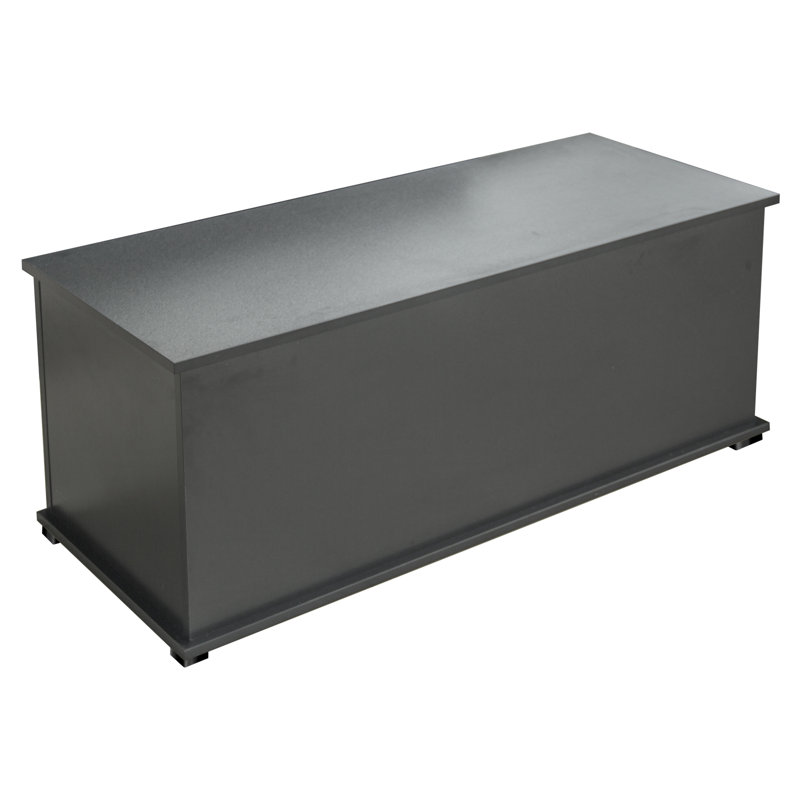 Banc de rangement pour jouets Dalia, Noir