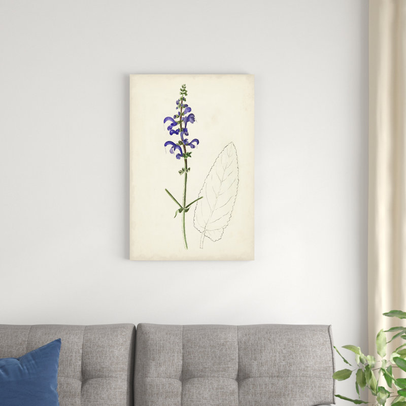 Aquarelle, croquis botaniques X - peinture sur toile tendue, H 30 po x l 20 po