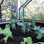 93.5' W x 110' D Greenhouse