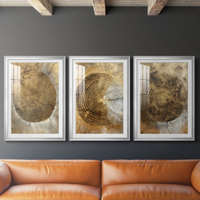 ABSTRACT Series CCXI  -Custom Framed  Premium Print W Matt - 3 Pieces
