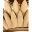 Plumage 1 - Light LED Pendant
