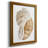 " Seashell I "-1830746210