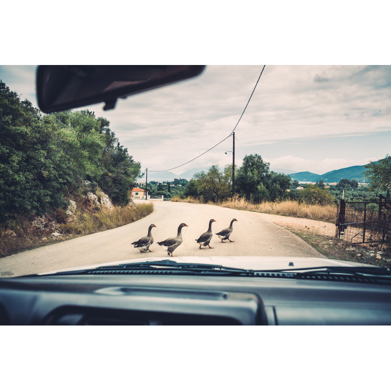 Group Of Ducks Crossing The Road by Borchee - No Frame Print on Canvas, 20cm H x 30cm W