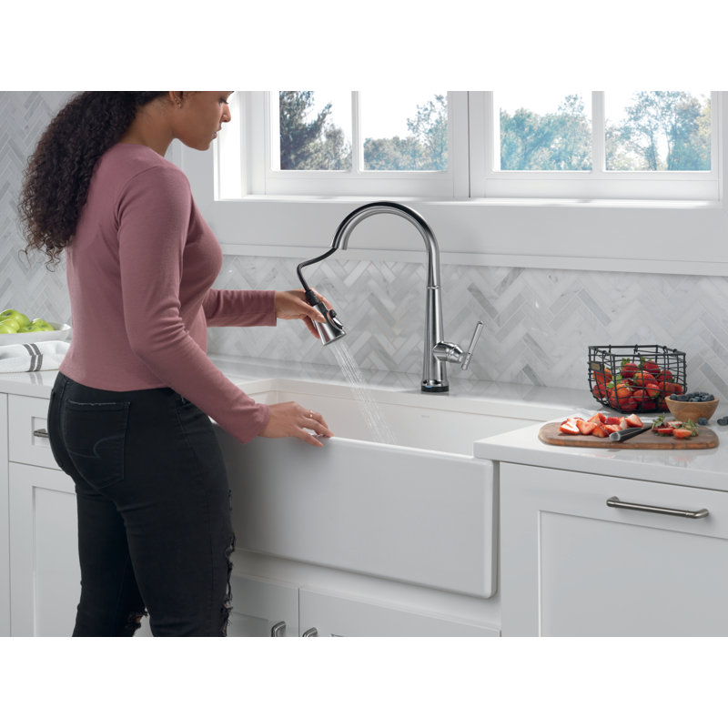 Robinet de cuisine Emmeline, Acier inoxydable arctique Lumicoat