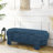Upholstered Bench With Large Storage Space