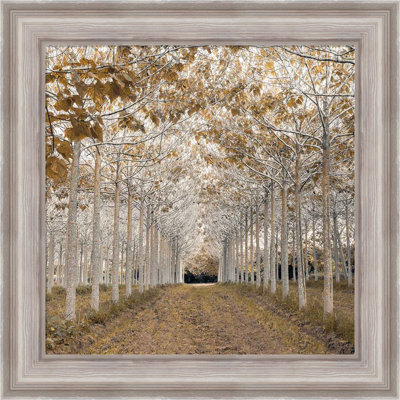 " White Gold " by Assaf Frank