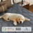 Peckover 8"/10"/12" Firm Memory Foam Hybrid Mattresses, CertiPUR-US, OEKO-TEX Certified-2138548906-2140589227