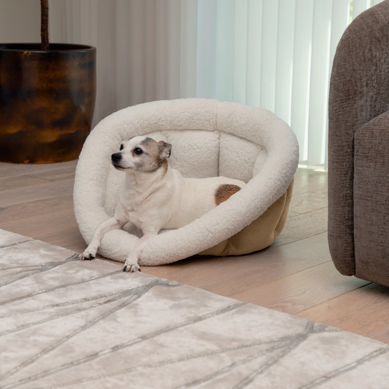 Tasse pour chien Tucker Murphy Pet ™, Taupe, H 12 po x l 18 po x P 18 po