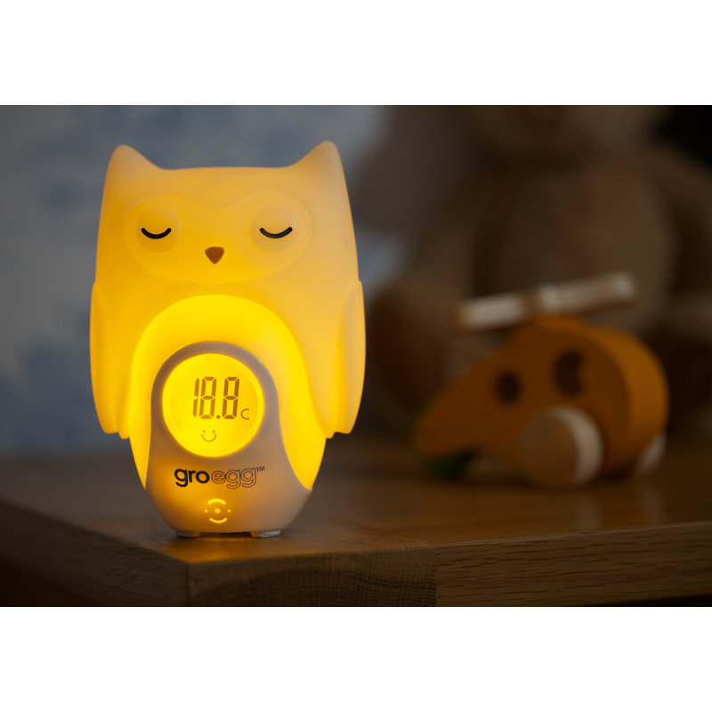 Egg Orla the Owl Shell Night Light