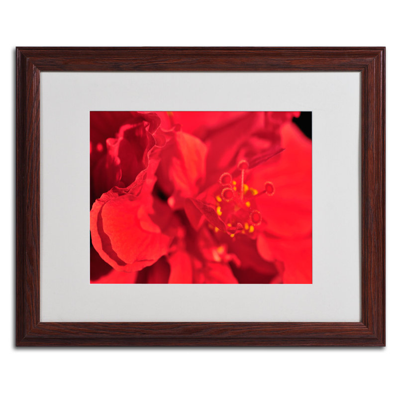 Trademark Fine Art "Red Red Hibiscus" by Kurt Shaffer Matted Framed Photographic Print