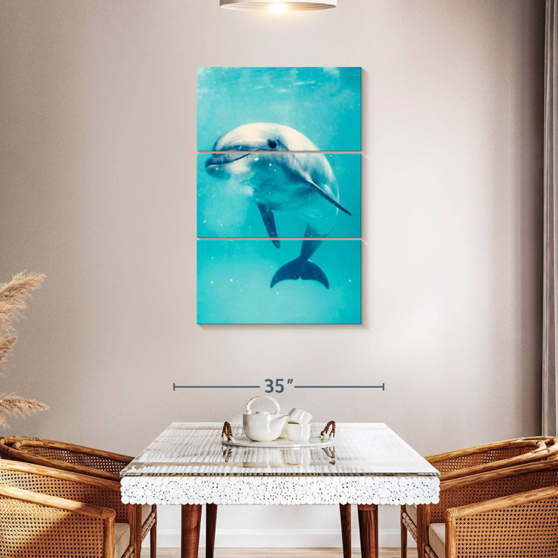 Brampt Bottlenose Dolphin Underwater, 45'' H x 28'' W