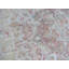 Tapis oriental Serapi Oushak bleu noué à la main 9 pi 9 po x 15 pi 11 po 09AE3415E5FF44BD854CC172E7D0C9B2