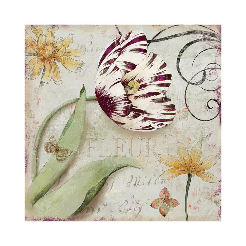Tulipa I by Aimee Wilson - Wrapped Canvas Print, 45.72 cm H x 45.72 cm W x 3.175 cm D