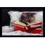 Late Night Thriller par - Peinture-1553040989-1553040994