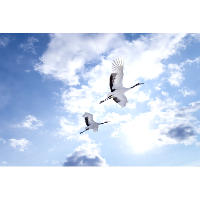 Laqueshia Flying Japanese Cranes - Wrapped Canvas Print, 61cm H x 91cm W x 3.8cm D
