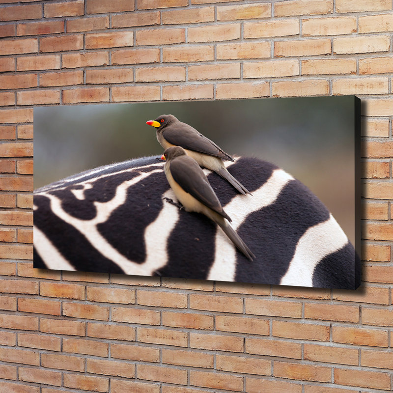 Birds And Zebra - Wrapped Canvas Print