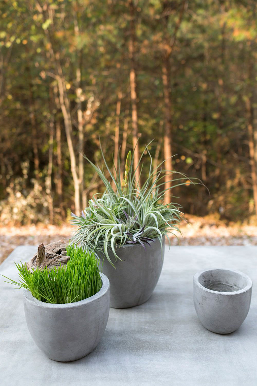 Trixie Pot Planter, 7" H x 7.8" W x 7.8" D