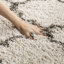 Joachim Area Rug-18097198