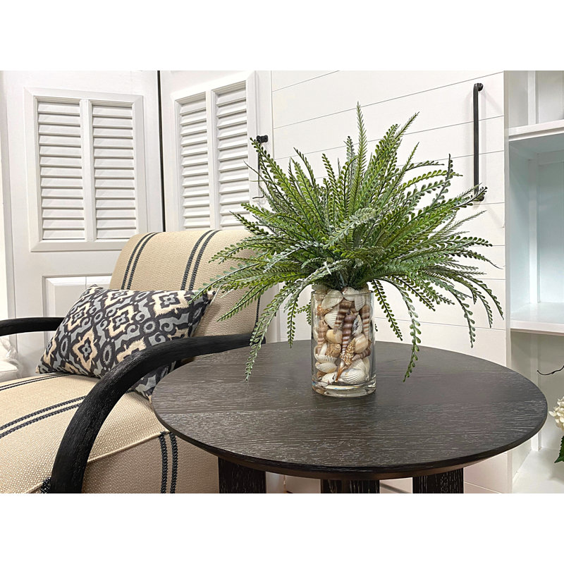 Feather Fern Arrangement with Shells