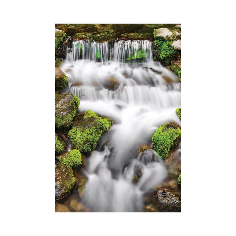 Fern Spring I, Yosemite National Park, California, USA by Russ Bishop - Gallery-Wrapped Canvas Giclée on Canvas, No Frame