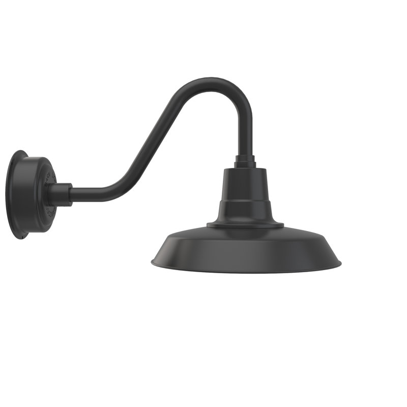 Luminaire de grange d'extérieur à DEL Haleigh, H 14,03 po x l 14 po x p 23,25 po, Noir mat