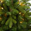 Washington 3.5' Green Artificial Christmas Tree with 50 Clear Lights