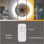 Ceiling Fan with LED Lights