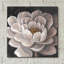 «Neutral Fleur I» par Tim O'Toole-1937182199