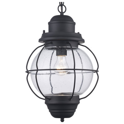 Lanterne suspendue d'extérieur à 1 lumière H 19 po Shahe