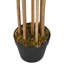 Faux Bamboo Tree in Pot-2061485471