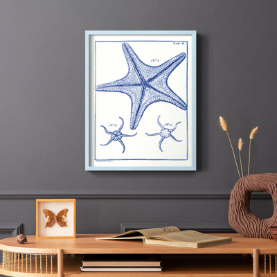 Blue Sea Stars VII Framed Print - Solid Wood