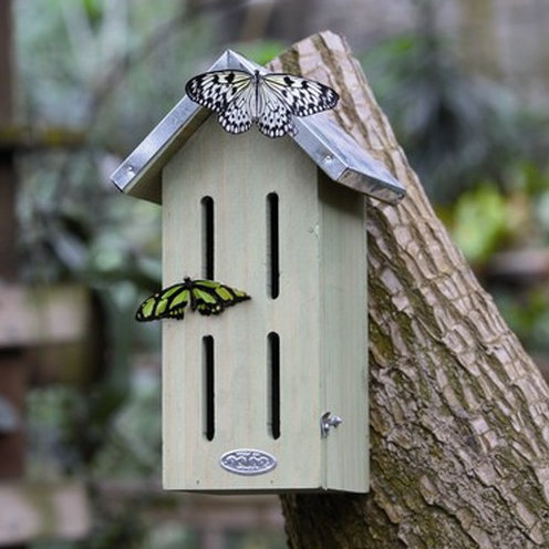 Butterfly Box Fsc 100%