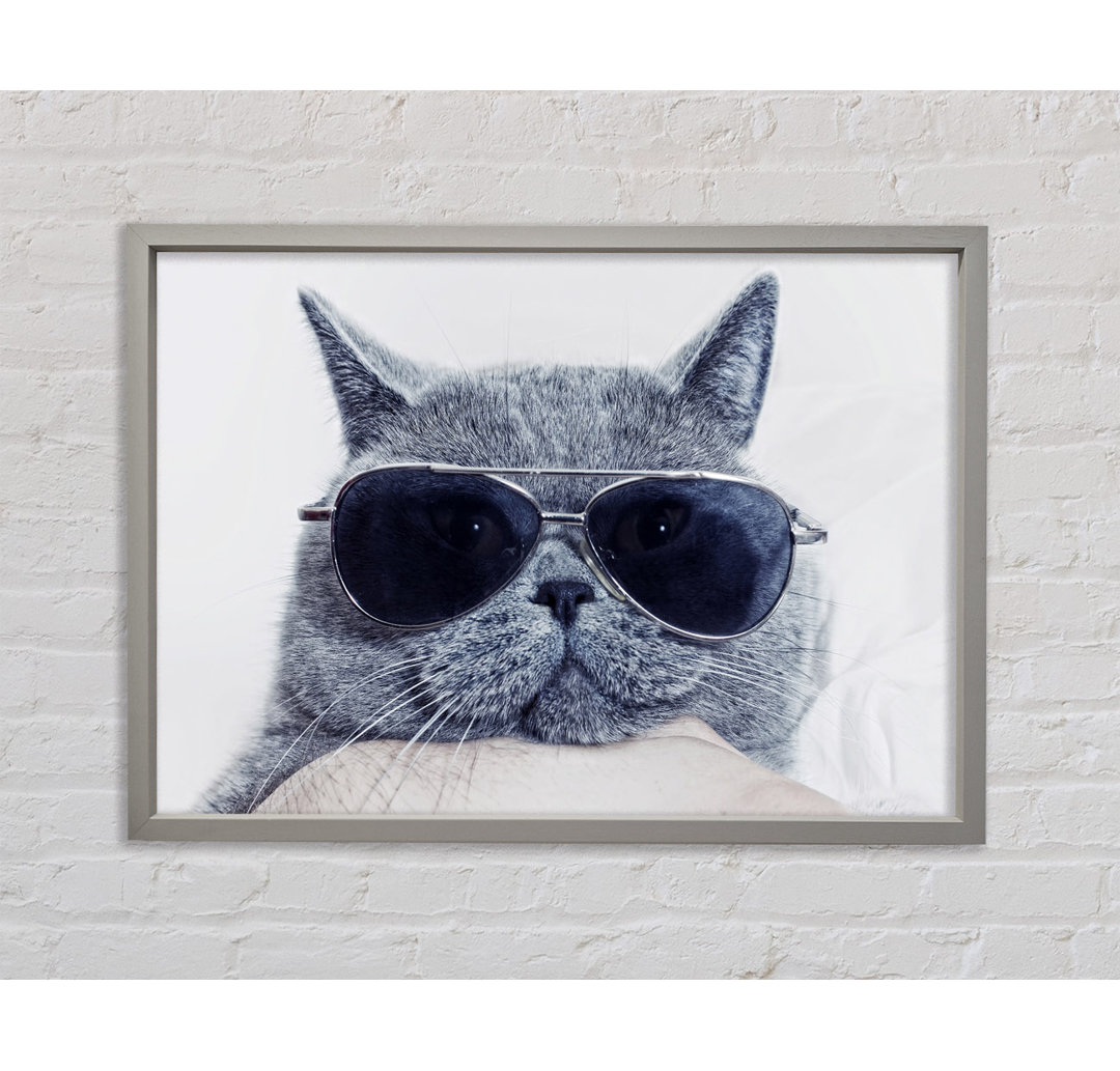 Kitty Cat Cool - Druck