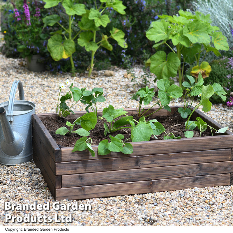 Maisie Wood Raised Flower Bed 110x90cm (x2), 86Cm H x 27Cm W x 24Cm D