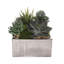 Faux Succulent in Square Etched Pot-1616115215