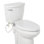 Signature Hardware Brookdale Elongated Toilet Seat