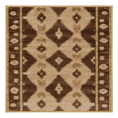 Machine Washable Overdyed Brown Area Rug