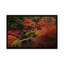 Autumn In Japan XII by Daniel Kordan - Print on Canvas-290558896-290558905