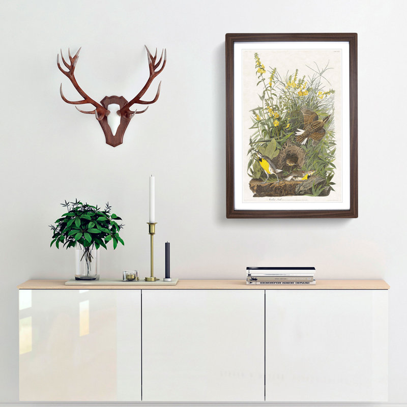 Meadow Larks by John Audubon - Picture Frame Painting Print, Walnut Framed, 65cm H x 48cm W x 2cm D