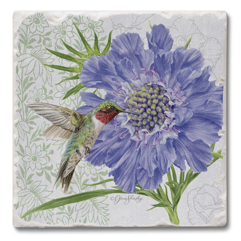 Sous-verres en pierre absorbants - ensemble de 4 - Scabiosa
