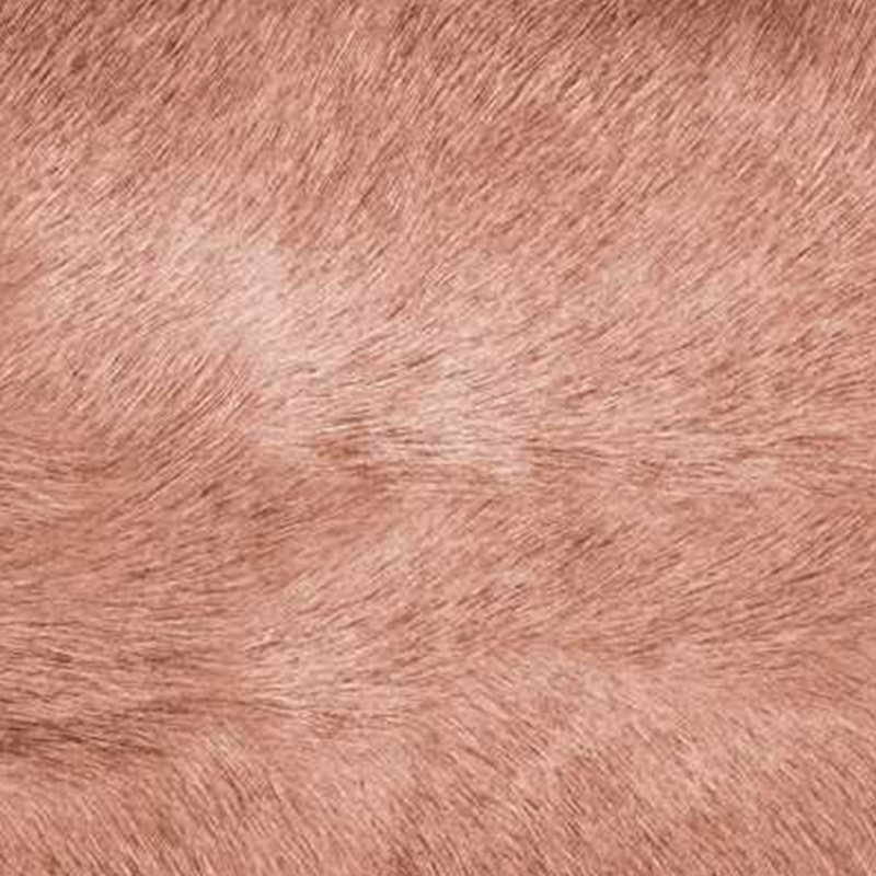  (Ensemble de deux) Coussin lombaire en peau de vache 12 "X 20", Brun
